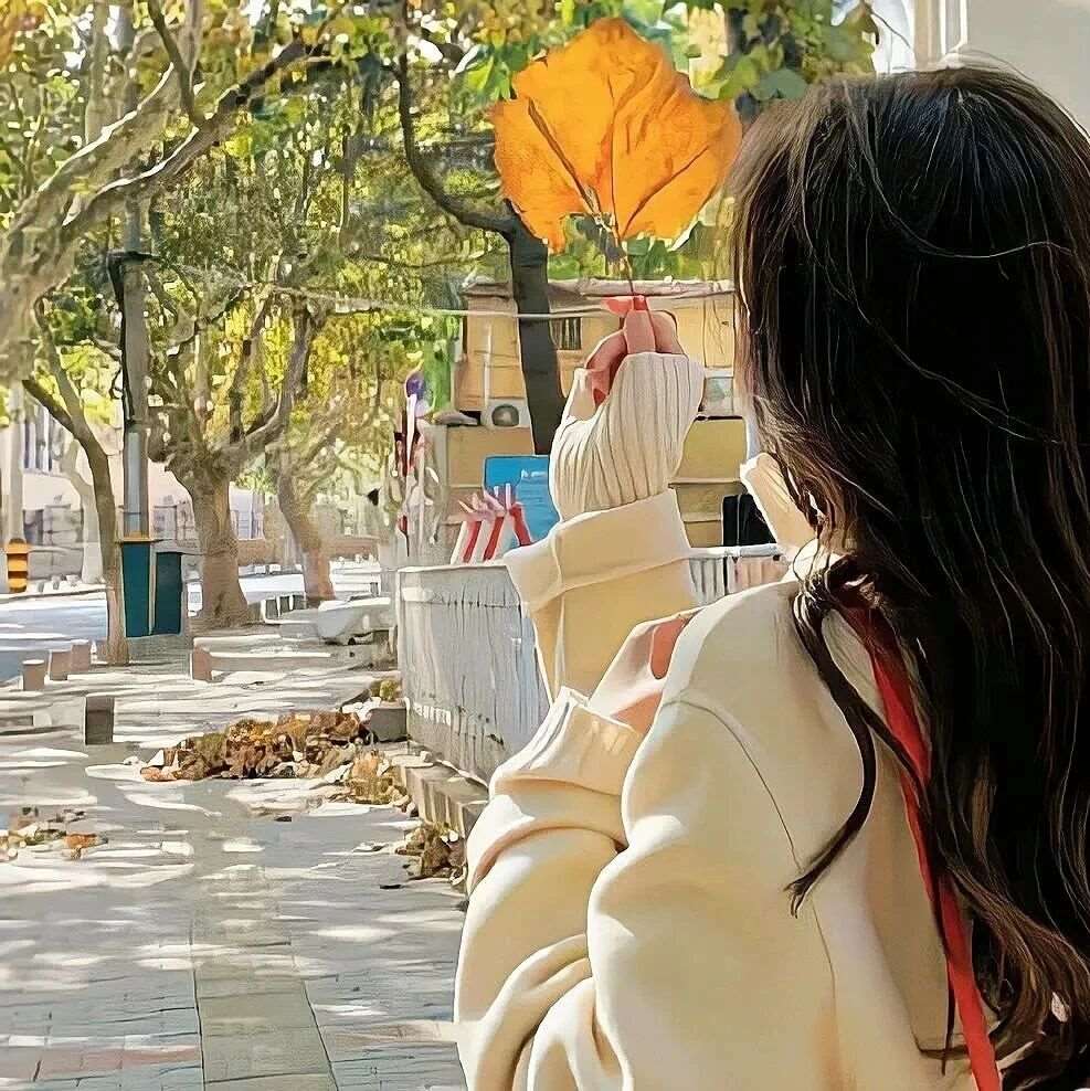 四川电工证复审费用是多少？